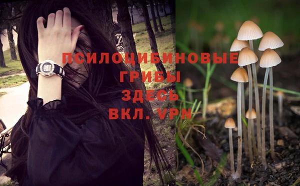 MDMA Premium VHQ Ладушкин