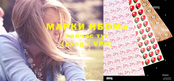 винт Лабытнанги